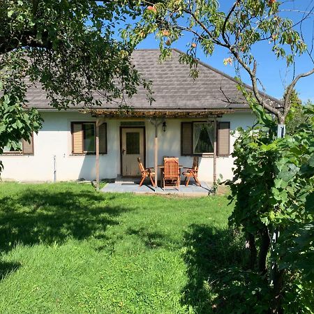 Urlaub Im Weingarten Pinkatótfalu Kültér fotó