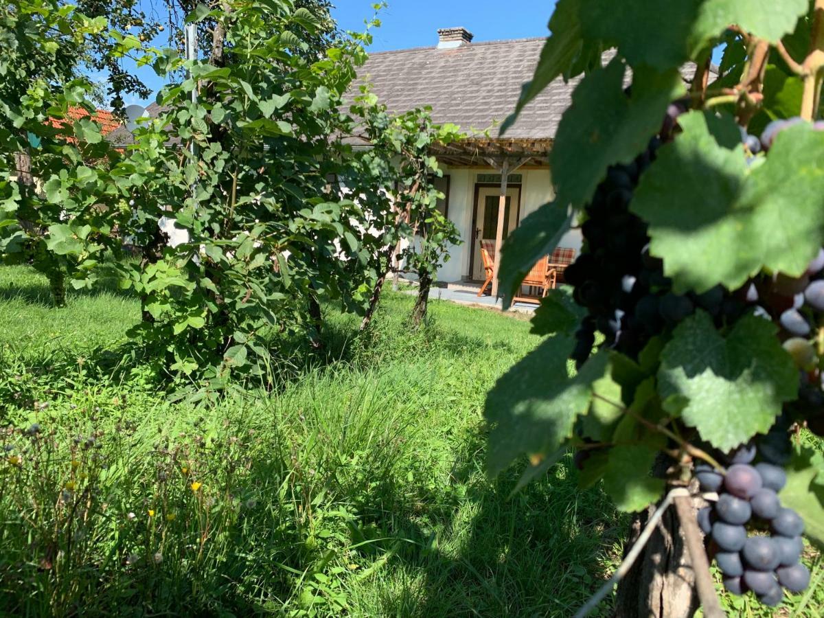 Urlaub Im Weingarten Pinkatótfalu Kültér fotó