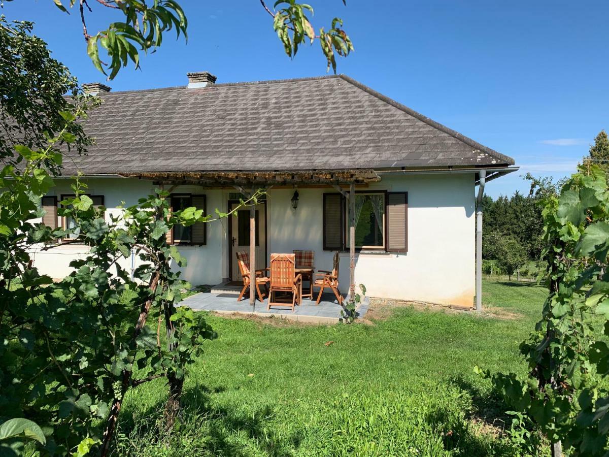 Urlaub Im Weingarten Pinkatótfalu Kültér fotó